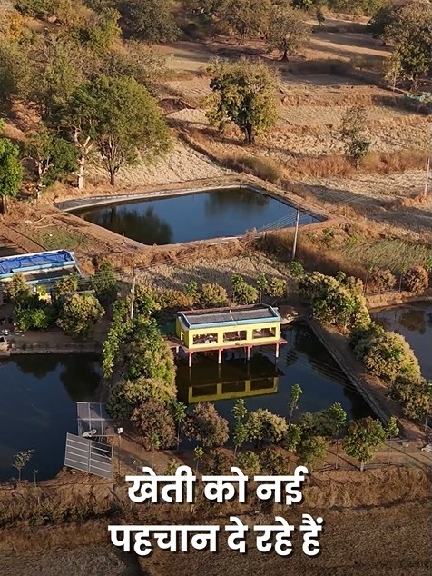 अपनी मेहनत और नवाचार से खेती को नई पहचान दे रहे -  युवा किसान अंकित शासन की योजना का लाभ लेकर 8 लाख रुपए की अनुदान राशि से 2 तालाब में कर रहे मछली पालन